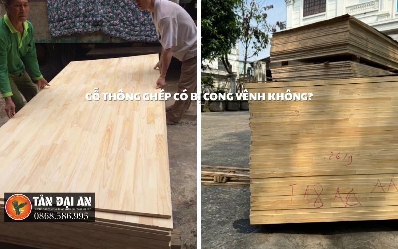 Gỗ cao su có bị cong vênh không 1 Gỗ ghép thông có bị cong vênh không